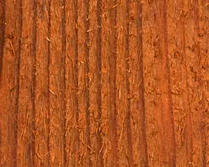 200 Series Transparent Cedar&nbsp;Tone