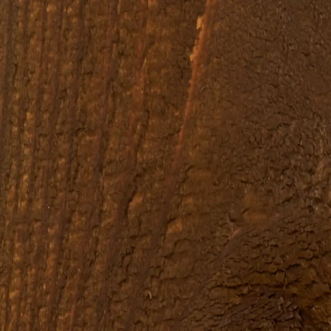 Semi-Transparent Sunlit Brown